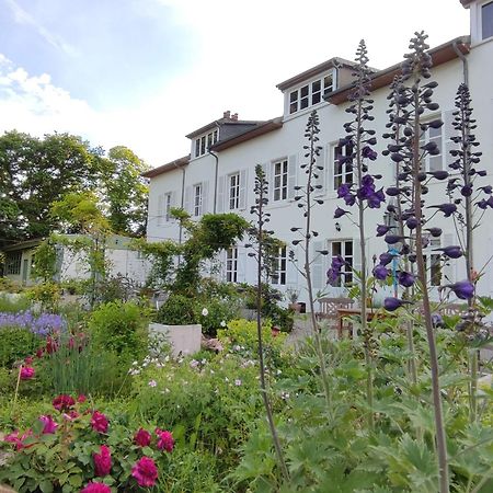 Château du Pommoy Villa Roussillon-en-Morvan Exterior foto