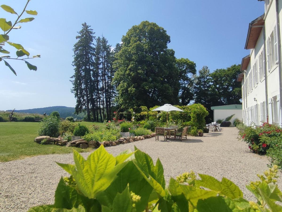 Château du Pommoy Villa Roussillon-en-Morvan Exterior foto