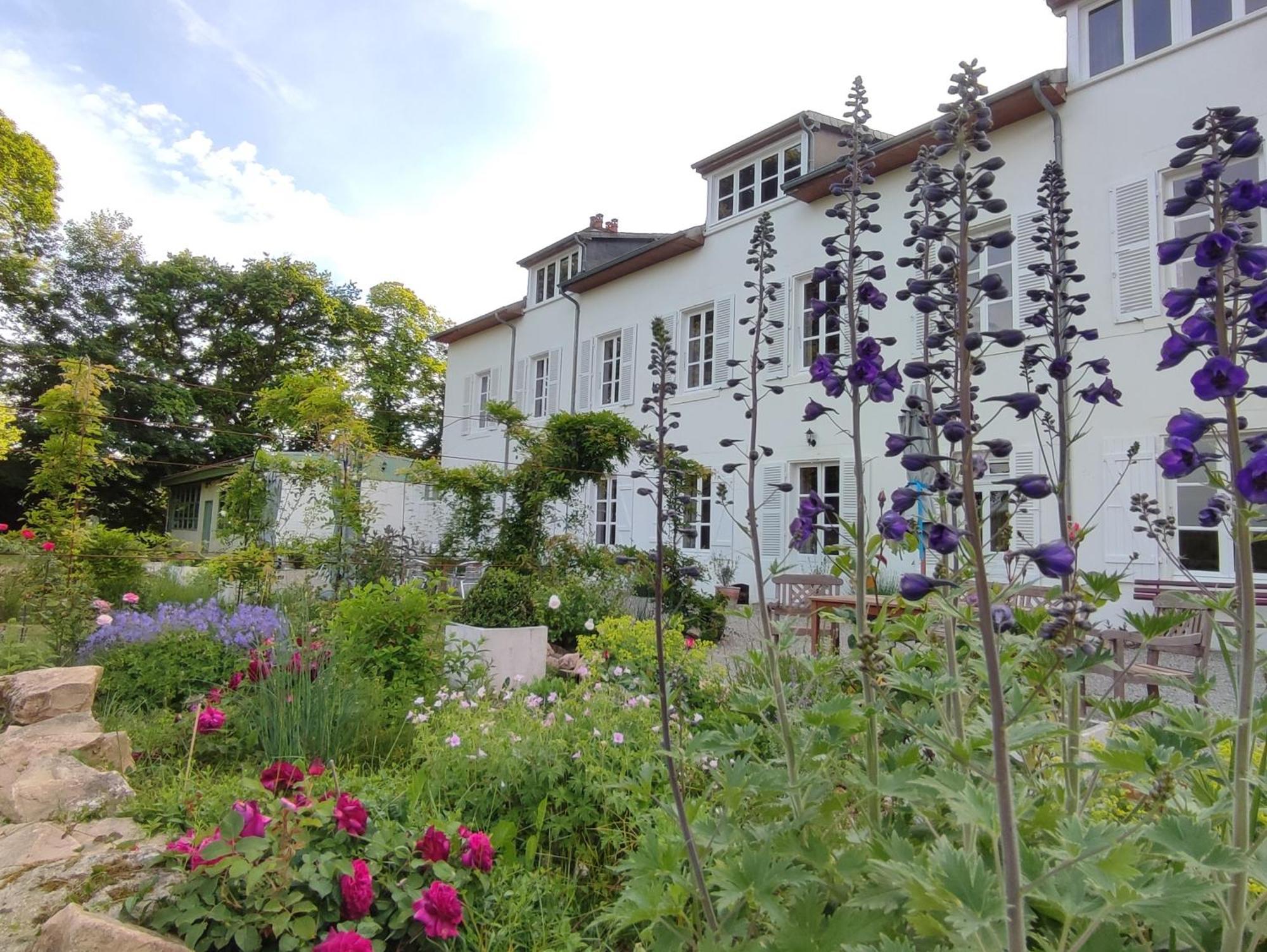 Château du Pommoy Villa Roussillon-en-Morvan Exterior foto